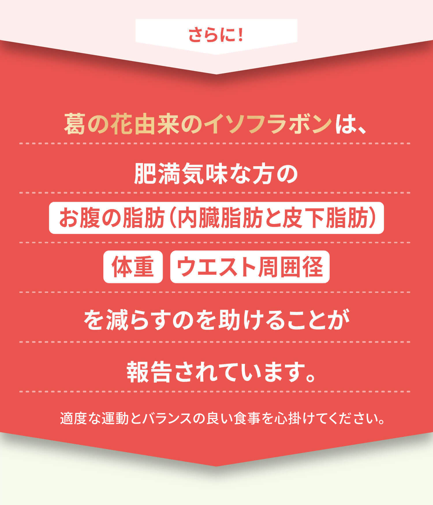 さらに！葛の花由来のイソフラボンは、肥満気味な方の[お腹の脂肪(内臓脂肪と皮下脂肪)][体重][ウエスト周囲径]を減らすのを助けることが報告されています。適度な運動とバランスの良い食事を心がけてください。